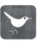 Connect with twitter